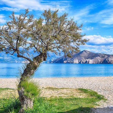 Villa Zlata - Holiday House บัชกา ภายนอก รูปภาพ